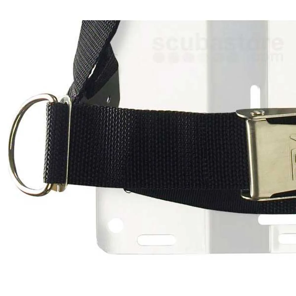 Transplate 5 Transplate - Image 3