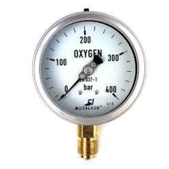 Oxygen Pressure Gauge 0-400 Bar Classe 1 100 Mm