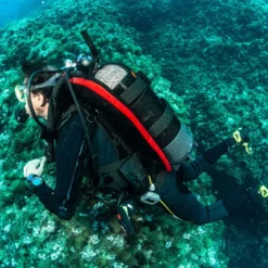 SEAC Modular BCD -Marine Explorer seac modular bcd 10