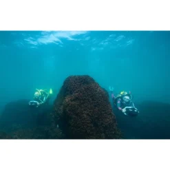 275L -Marine Explorer yamaha seascooter 275l 11