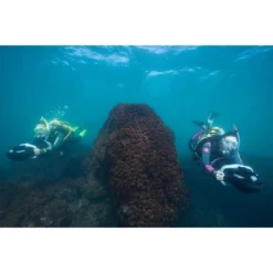 275L -Marine Explorer yamaha seascooter 275l 12