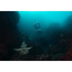 275L -Marine Explorer yamaha seascooter 275l 16