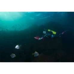 350LI -Marine Explorer yamaha seascooter 350li 13