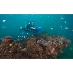 RDS250 -Marine Explorer yamaha seascooter rds250 7