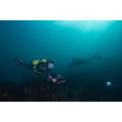 RDS300 -Marine Explorer yamaha seascooter rds300 8